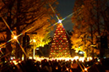 クリスマス・ツリー点火祭