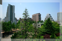 Aoyama Gakuin Information